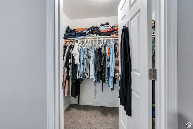 walk in closet featuring carpet