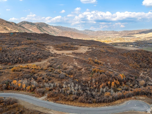 1993 N Shamy Way Unit 30, Eden, UT 84310