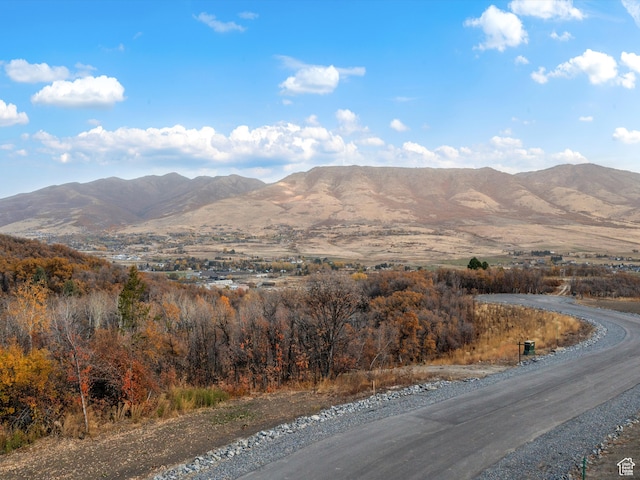 1993 N Shamy Way Unit 30, Eden, UT 84310