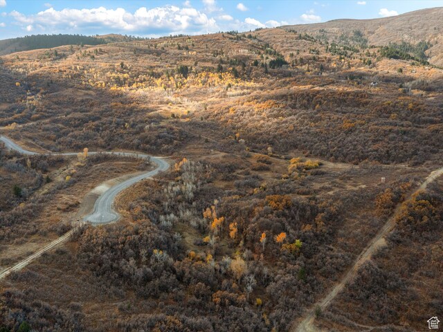 1993 N Shamy Way Unit 30, Eden, UT 84310