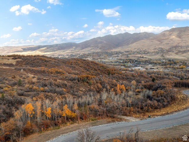 1993 N Shamy Way Unit 30, Eden, UT 84310