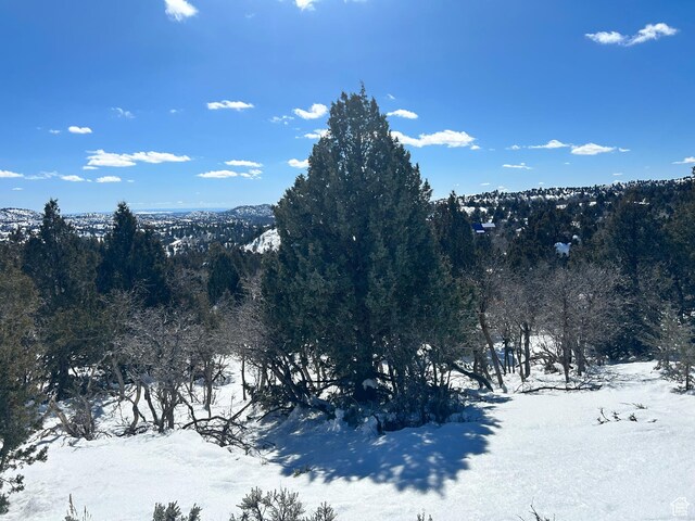 1 Ranch Dr Unit 2, Alton, UT 84710