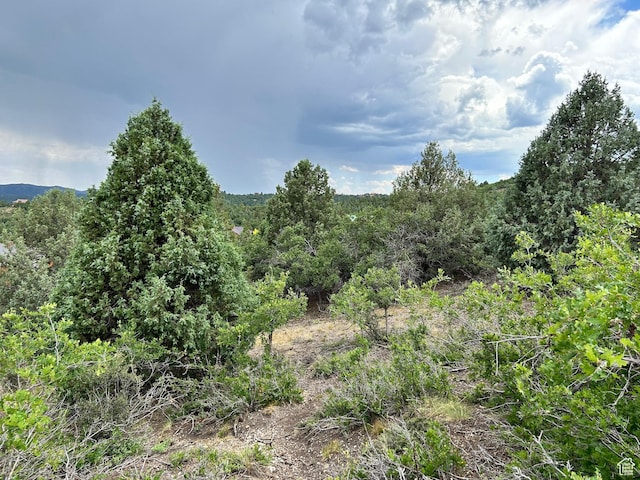 1 Ranch Dr Unit 2, Alton, UT 84710