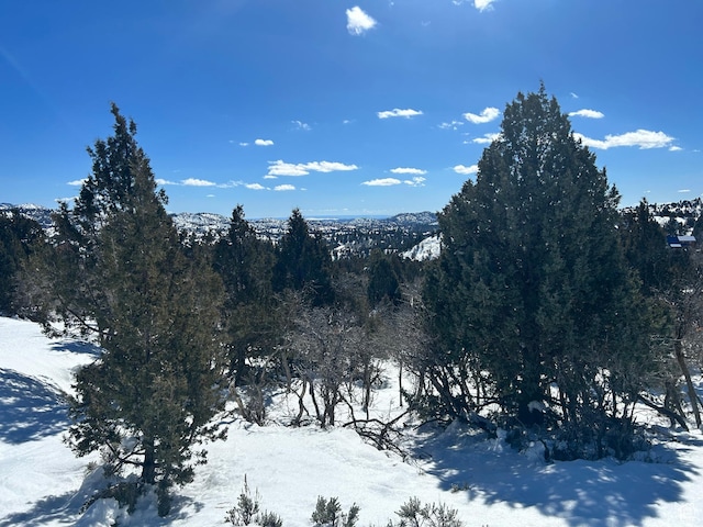 1 Ranch Dr Unit 2, Alton, UT 84710