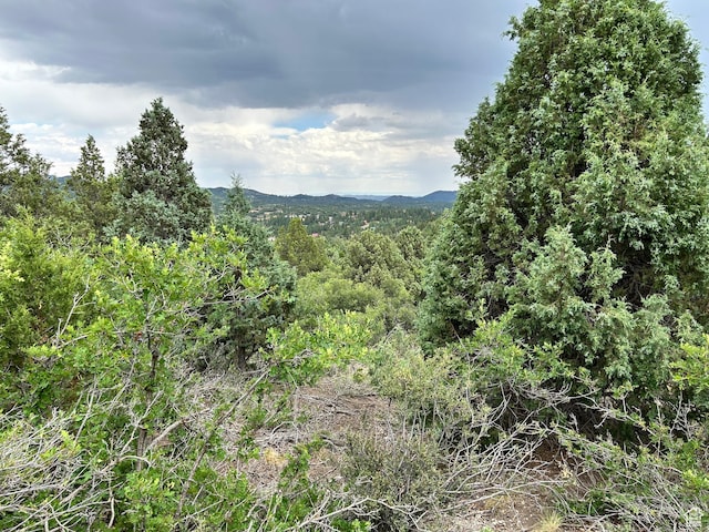 1 Ranch Dr Unit 2, Alton, UT 84710