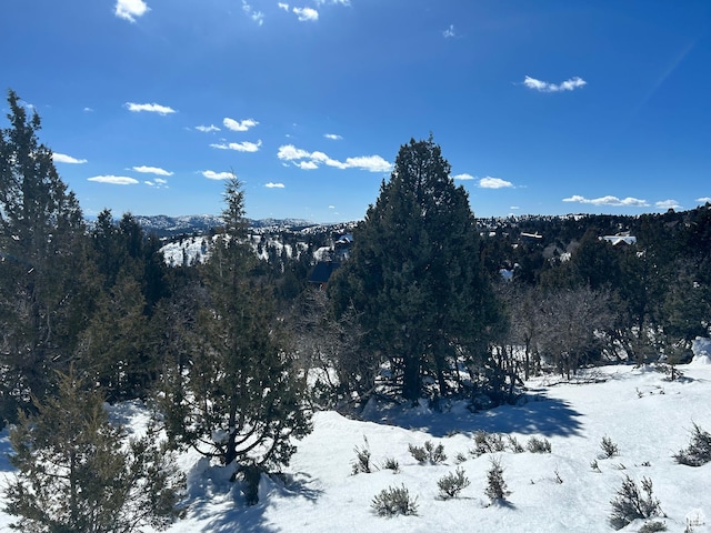 1 Ranch Dr Unit 2, Alton, UT 84710