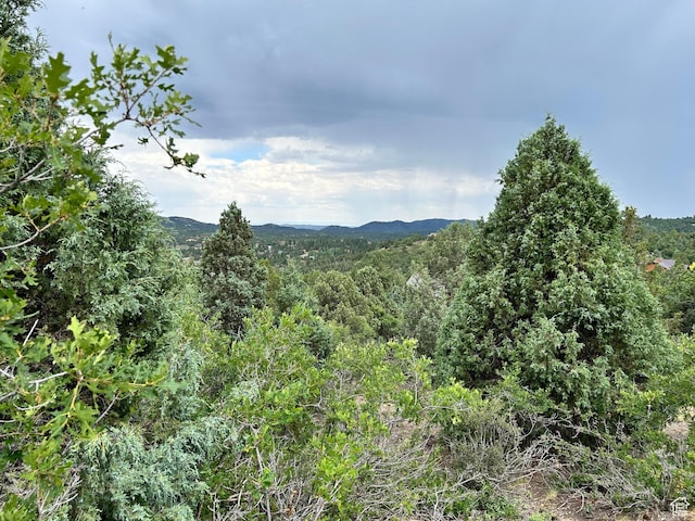1 Ranch Dr Unit 2, Alton, UT 84710