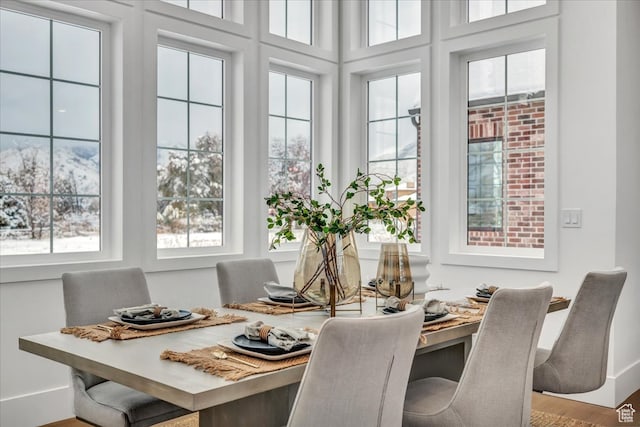 dining space featuring wood-type flooring and a wealth of natural light