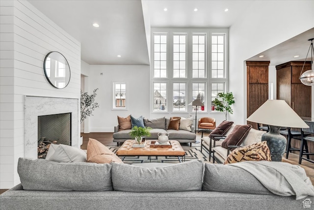 living room with wood-type flooring and a high end fireplace