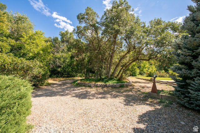 2633 E 6200 S Unit 7, Holladay, UT 84121
