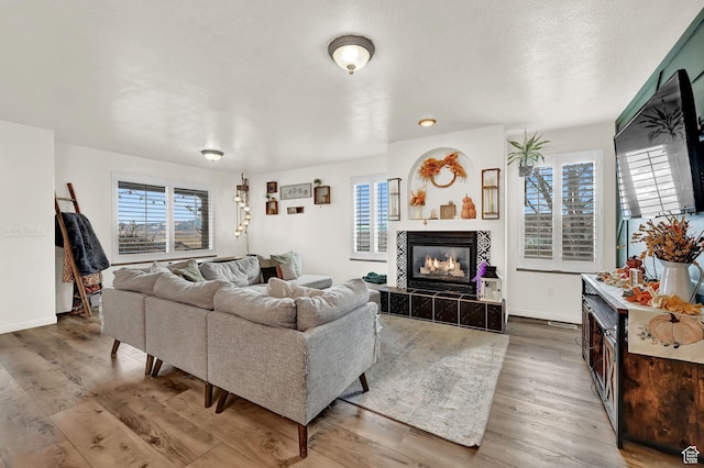 10877 N Wallace Ln E, Tremonton, UT 84337 - living area featuring wood finished floors, a tiled fireplace, and baseboards