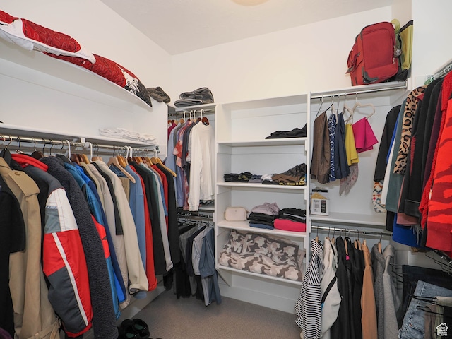 1766 S Degiorgio W, Taylor, UT 84401 - walk in closet with carpet flooring