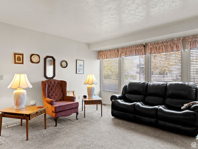 3689 W 5215 S, Taylorsville, UT 84129 - carpeted living area featuring baseboards and a textured ceiling