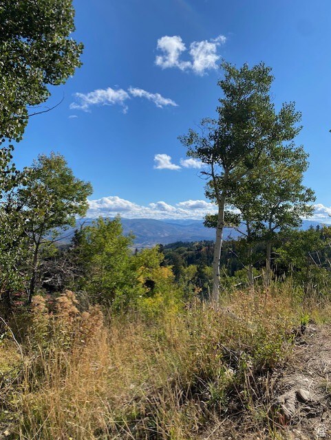 1717 Alexander Canyon Rd Unit 18, Wanship, UT 84017