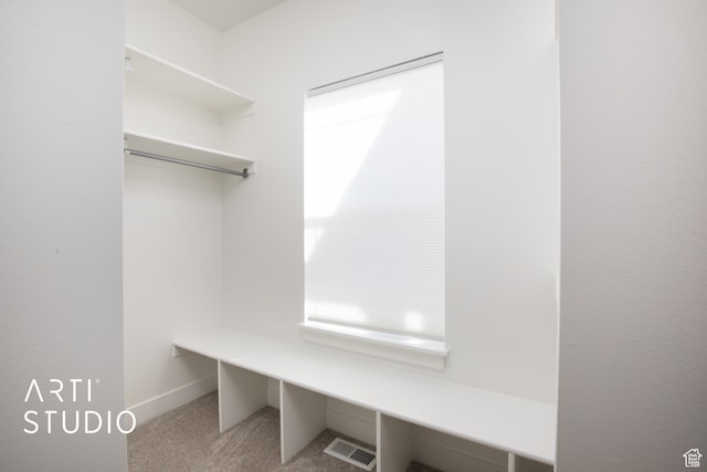 1242 S 500 W Unit 07, Manti, UT 84642 - walk in closet featuring carpet flooring
