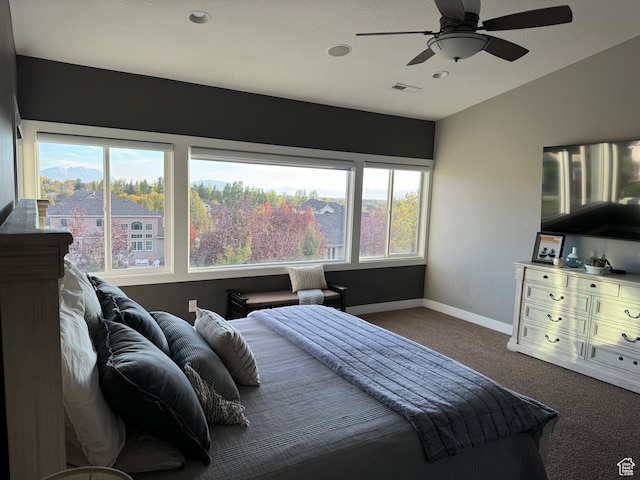 106 E 710 N, Lindon, UT 84042 - bedroom with multiple windows, ceiling fan, and carpet floors