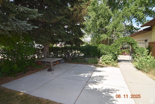 154 W 200 N, Mona, UT 84645 - view of patio with a gate