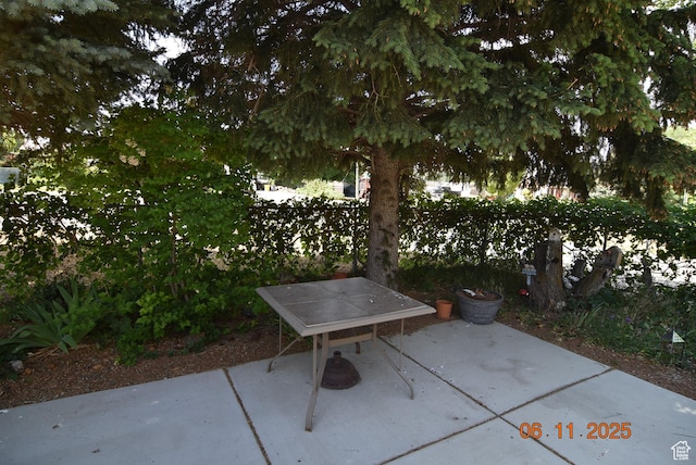 154 W 200 N, Mona, UT 84645 - view of patio / terrace