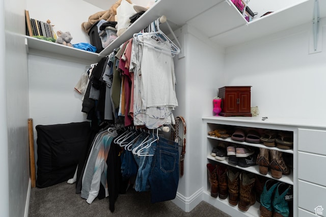 5361 N 4500 E, Roosevelt, UT 84066 - spacious closet with carpet flooring
