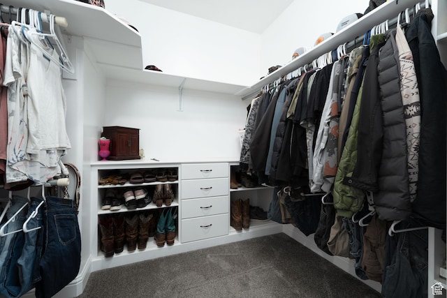 5361 N 4500 E, Roosevelt, UT 84066 - spacious closet with carpet floors