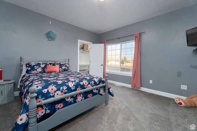 5361 N 4500 E, Roosevelt, UT 84066 - bedroom with baseboards and carpet flooring