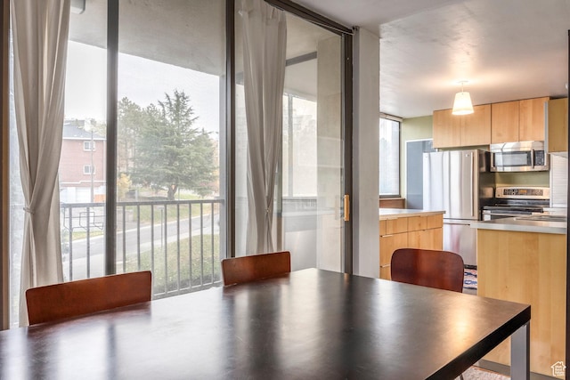 241 N Vine St Unit 205W, Salt Lake City, UT 84103 - dining room featuring healthy amount of natural light