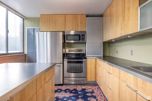 241 N Vine St Unit 205W, Salt Lake City, UT 84103 - kitchen with stainless steel appliances, light brown cabinetry, and modern cabinets