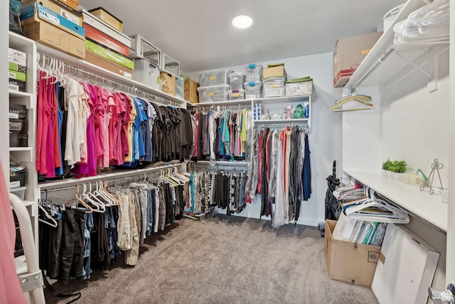 2118 N Snowy Crane Dr, Clinton, UT 84015 - spacious closet with carpet floors