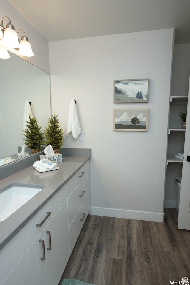 bathroom with vanity and wood-type flooring