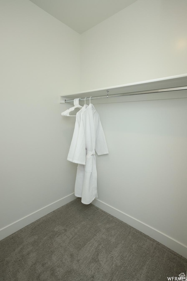 553 S 100 W Unit 202, Richfield, UT 84701 - spacious closet featuring dark colored carpet