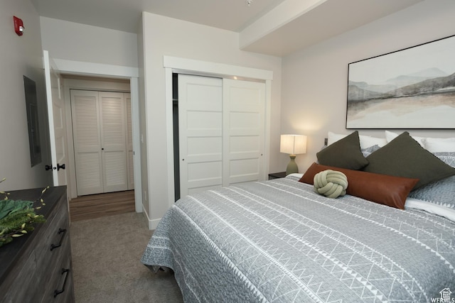 553 S 100 W Unit 202, Richfield, UT 84701 - carpeted bedroom with a closet and electric panel