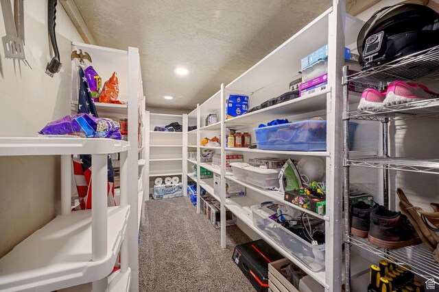 758 W Cedar View Dr, Saratoga Springs, UT 84045 - view of storage room