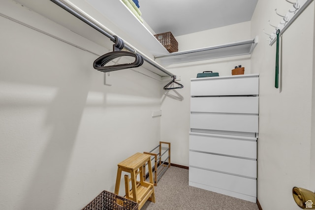 7065 N 2200 W Unit 2E, Park City, UT 84098 - walk in closet featuring light colored carpet