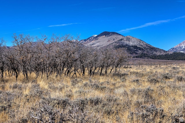 17 N Porcupine Ln Unit 15B, La Sal, UT 84530