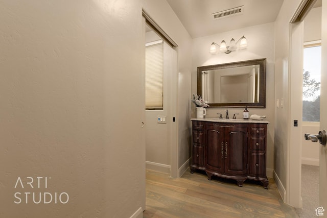 bathroom featuring hardwood / wood-style flooring and vanity