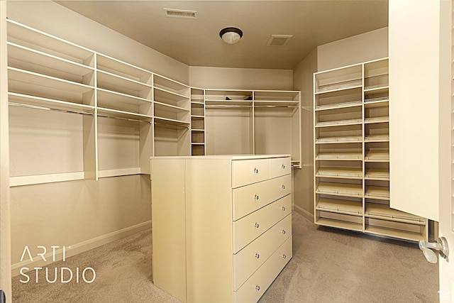 spacious closet with carpet floors