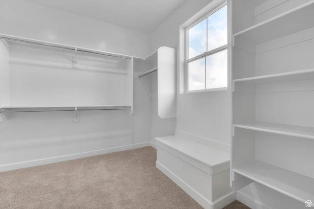 walk in closet with light carpet