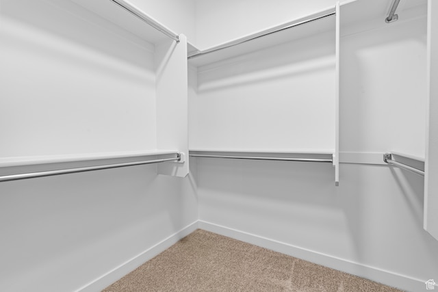 2616 N 3020 W, Clinton, UT 84015 - walk in closet featuring carpet