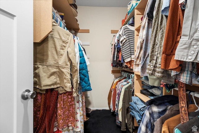 walk in closet featuring carpet floors