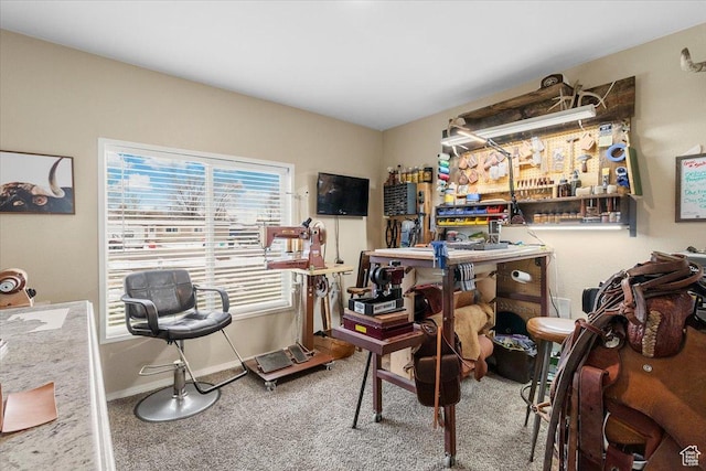 interior space featuring a workshop area and carpet