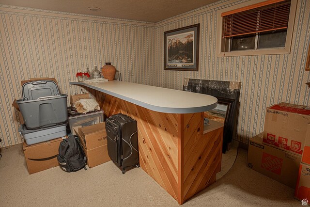 148 S Sunnybrook Dr, Salina, UT 84654 - indoor dry bar with wallpapered walls and carpet