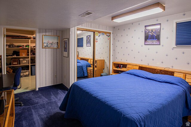 148 S Sunnybrook Dr, Salina, UT 84654 - bedroom with dark carpet, wallpapered walls, a textured ceiling, and a closet