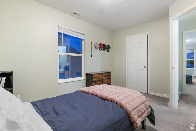 486 N 200 E, Santaquin, UT 84655 - bedroom with light carpet, baseboards, and a textured ceiling