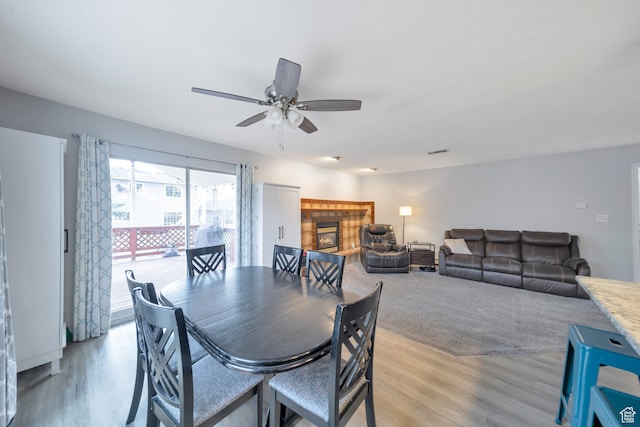 dining area with a fireplace, light hardwood / wood-style flooring, and ceiling fan