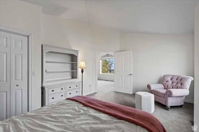 carpeted bedroom with high vaulted ceiling and a closet