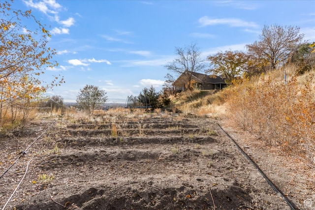 view of yard featuring a rural view
