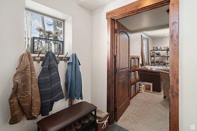 980 W White Cloud Trl, Hideout, UT 84036 - mudroom with carpet flooring