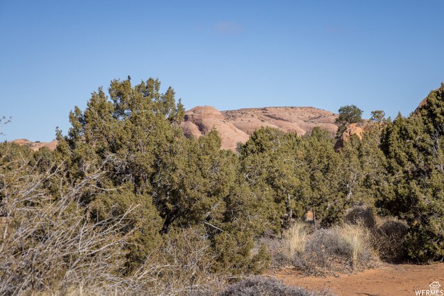 3519 E Arena Roja Unit 24, Moab, UT 84532
