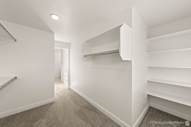 660 W Cypress Umber Dr, St George, UT 84790 - walk in closet featuring carpet flooring