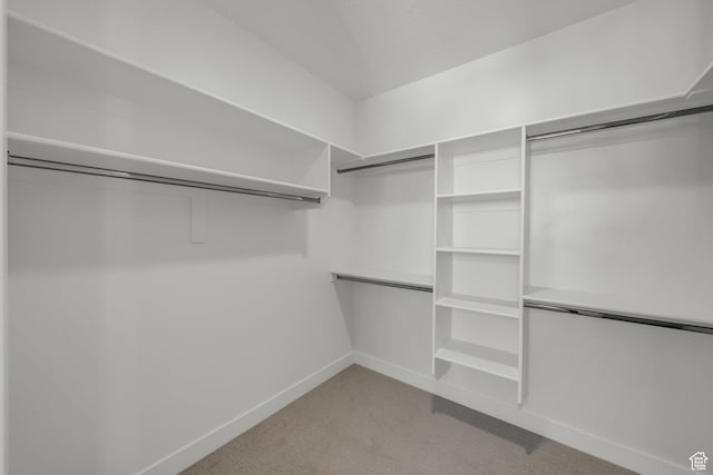 652 W Emerald Point Dr Unit 131, St George, UT 84790 - spacious closet featuring light colored carpet
